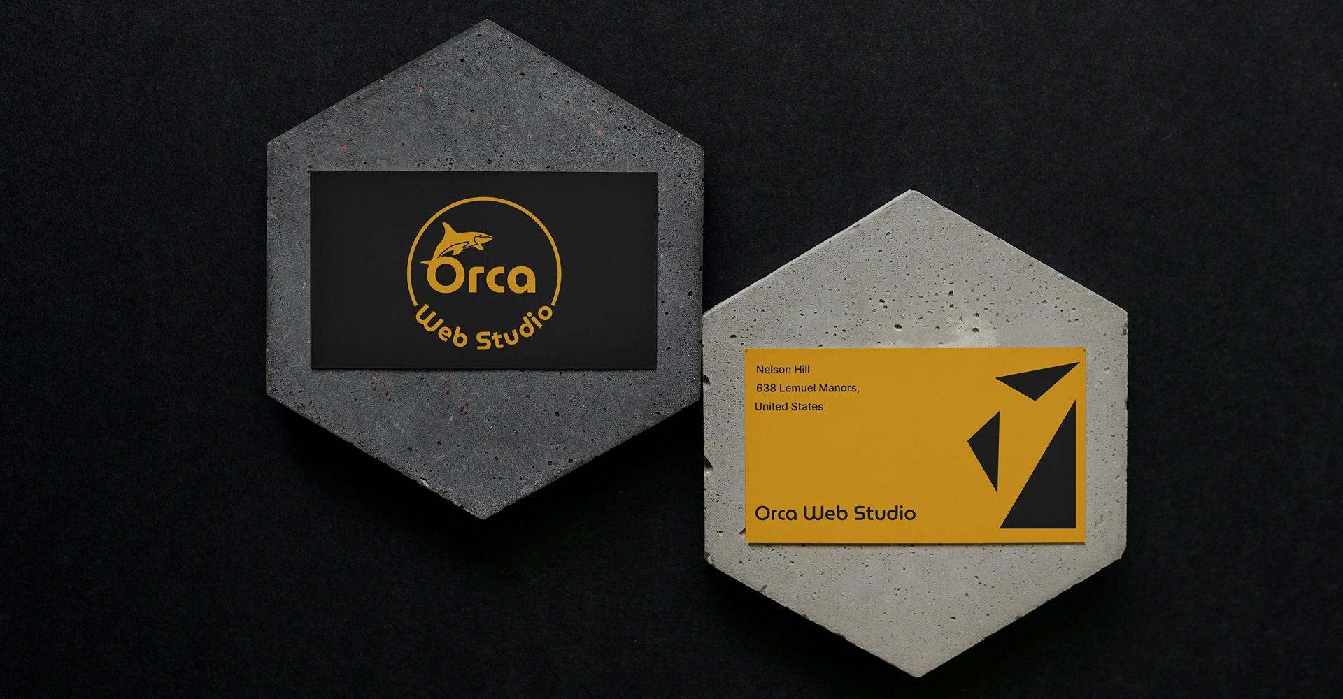Orca Web Studio Branding